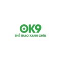 Ok9foundation Avatar, Ok9foundation Profilbild