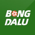 Bongdalu-town Avatar, Bongdalu-town Profilbild