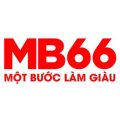 MB66christmas Avatar, MB66christmas Profilbild