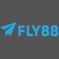 Fly8881com Avatar, Fly8881com Profilbild