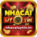 Nhacaiuytinin1 Avatar, Nhacaiuytinin1 Profilbild