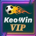Keowinvip Avatar, Keowinvip Profilbild