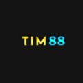 Tim88aorg Avatar, Tim88aorg Profilbild
