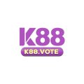 K88vote Avatar, K88vote Profilbild