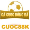 Cacuocbongdainfo Avatar, Cacuocbongdainfo Profilbild