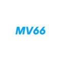 Mv66ltd Avatar, Mv66ltd Profilbild