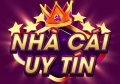 Nhacaiuytiniu Avatar, Nhacaiuytiniu Profilbild