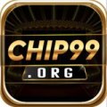 Chip99org Avatar, Chip99org Profilbild