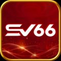 Sv66betworld Avatar, Sv66betworld Profilbild