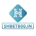 Shbet800in Avatar, Shbet800in Profilbild