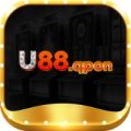 U88qpon Avatar, U88qpon Profilbild