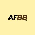 Af88co Avatar, Af88co Profilbild