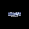 Bong88place Avatar, Bong88place Profilbild