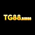 Tg88bingo Avatar, Tg88bingo Profilbild