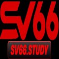 Sv66study Avatar, Sv66study Profilbild
