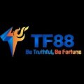 Tf88estate1 Avatar, Tf88estate1 Profilbild