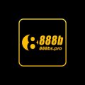 888bspro Avatar, 888bspro Profilbild