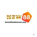 New88knoxvilleobserv Avatar, New88knoxvilleobserv Profilbild