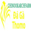 Dagachinoo Avatar, Dagachinoo Profilbild
