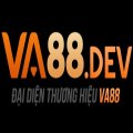 Va88art Avatar, Va88art Profilbild