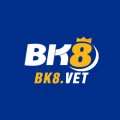 Bk8vet Avatar, Bk8vet Profilbild