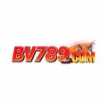 Bv789com Avatar, Bv789com Profilbild