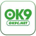 Ok9cnet Avatar, Ok9cnet Profilbild