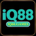 Iq88games Avatar, Iq88games Profilbild