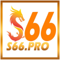 S66pro Avatar, S66pro Profilbild