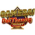 Gamebaidoi Avatar, Gamebaidoi Profilbild