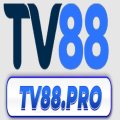 Tv88pro Avatar, Tv88pro Profilbild
