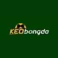 Keobongdasite Avatar, Keobongdasite Profilbild