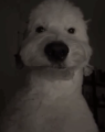 Berin