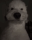 User Berin, Profilbild, Avatar