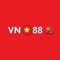 VN88 Avatar, VN88 Profilbild