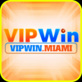 Vipwinmiami Avatar, Vipwinmiami Profilbild