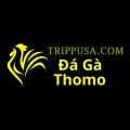 Dagaatrippusa Avatar, Dagaatrippusa Profilbild