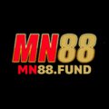 Mn88fund Avatar, Mn88fund Profilbild