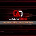 Cado888casino Avatar, Cado888casino Profilbild