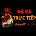 Daga01club Avatar, Daga01club Profilbild