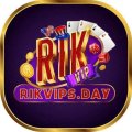 Rikvipsday Avatar, Rikvipsday Profilbild