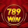 789winvnshop1 Avatar, 789winvnshop1 Profilbild