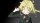 User Elite_trupper, Profilbild, Avatar