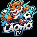 Laohotvxyz Avatar, Laohotvxyz Profilbild