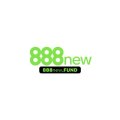 888newfund Avatar, 888newfund Profilbild