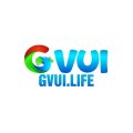 Gvuilife Avatar, Gvuilife Profilbild