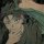 Profilbild Nico_348, Avatar