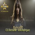 Ceoestrellabet8com Avatar, Ceoestrellabet8com Profilbild