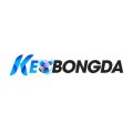 Keobongdauknet Avatar, Keobongdauknet Profilbild
