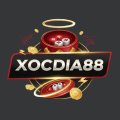 Xocdia88nyc Avatar, Xocdia88nyc Profilbild